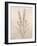 Botanicals XII-Rikki Drotar-Framed Giclee Print