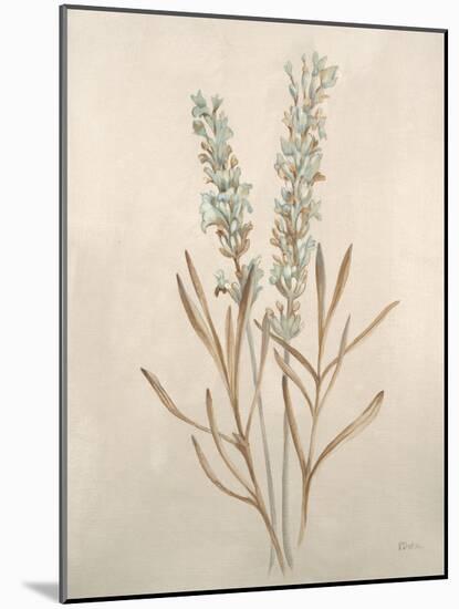 Botanicals XII-Rikki Drotar-Mounted Giclee Print