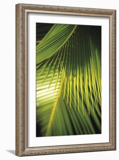 Botanicals XIX-Tony Koukos-Framed Giclee Print