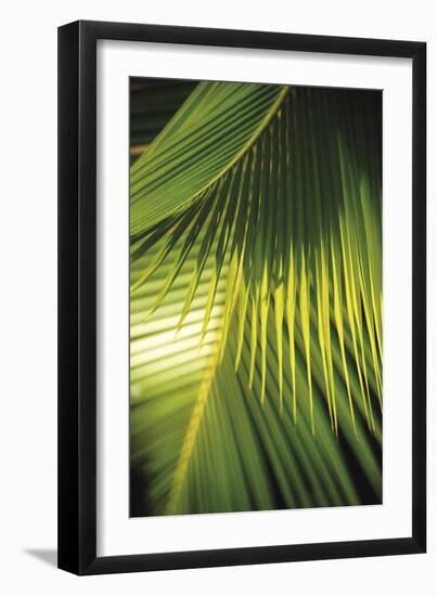 Botanicals XIX-Tony Koukos-Framed Giclee Print