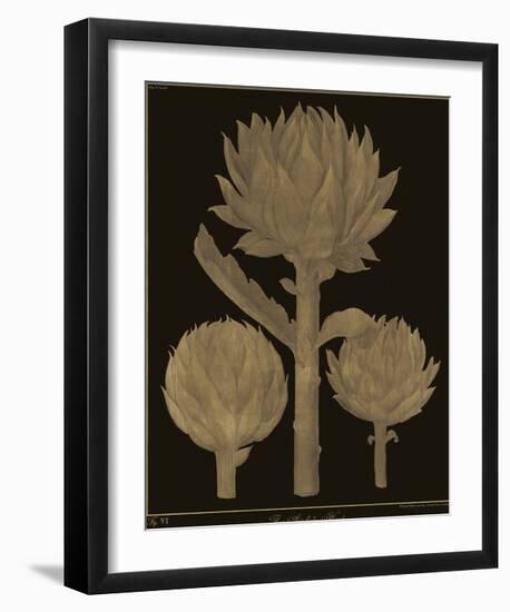 Botanicus - Artichokes-Maria Mendez-Framed Giclee Print