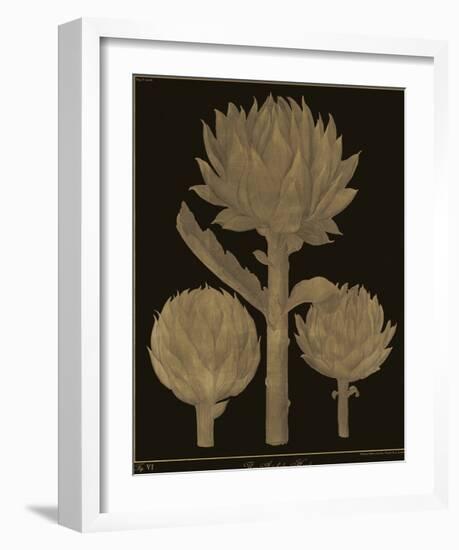 Botanicus - Artichokes-Maria Mendez-Framed Giclee Print