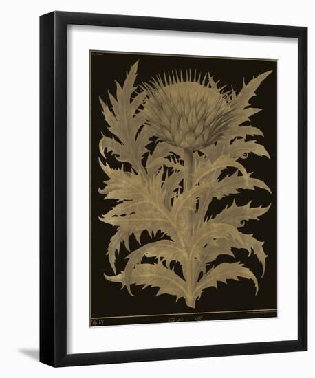 Botanicus - Cardoon-Maria Mendez-Framed Giclee Print