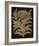 Botanicus - Cardoon-Maria Mendez-Framed Giclee Print