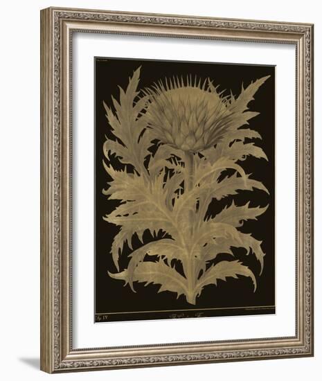 Botanicus - Cardoon-Maria Mendez-Framed Giclee Print