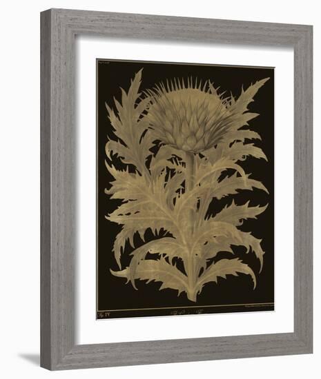 Botanicus - Cardoon-Maria Mendez-Framed Giclee Print