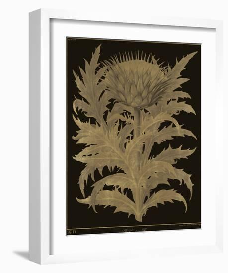 Botanicus - Cardoon-Maria Mendez-Framed Giclee Print