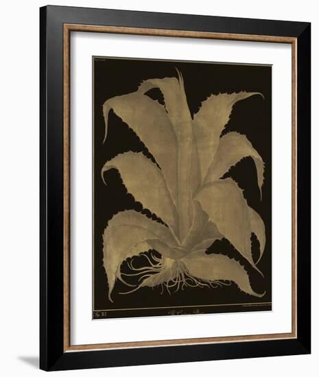 Botanicus - Century Plant-Maria Mendez-Framed Giclee Print