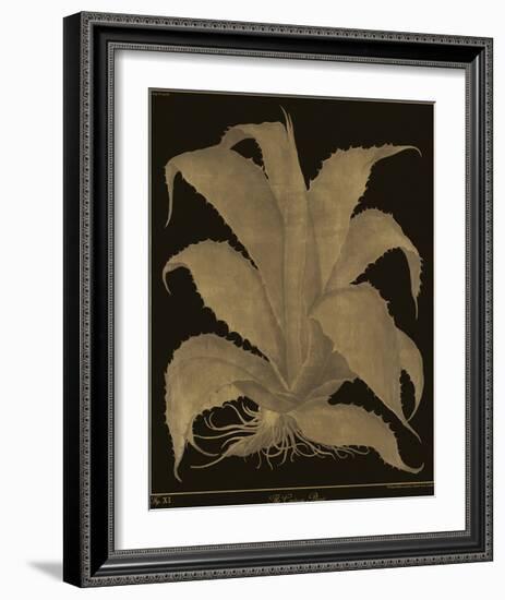 Botanicus - Century Plant-Maria Mendez-Framed Giclee Print