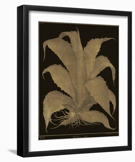 Botanicus - Century Plant-Maria Mendez-Framed Giclee Print