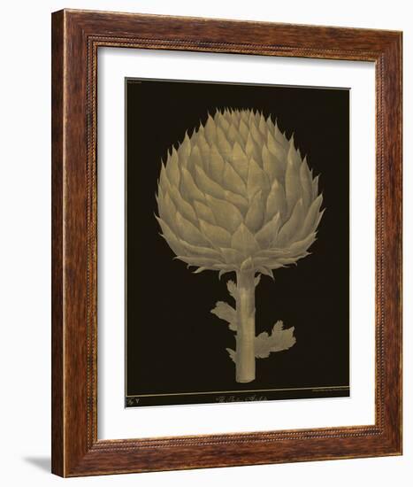 Botanicus - Italian Artichoke-Maria Mendez-Framed Giclee Print