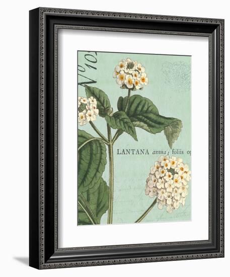 Botanique Bleu I-Hugo Wild-Framed Art Print