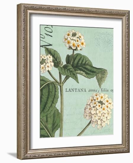 Botanique Bleu I-Hugo Wild-Framed Art Print