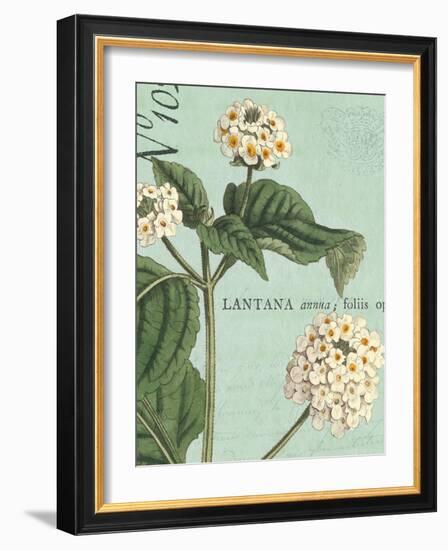 Botanique Bleu I-Hugo Wild-Framed Art Print