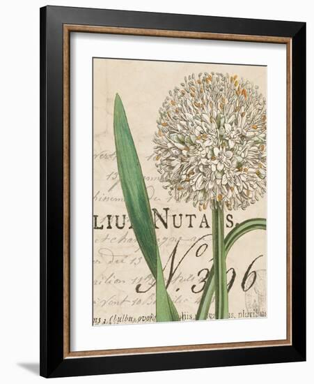 Botanique Bleu II Vintage-Wild Apple Portfolio-Framed Art Print