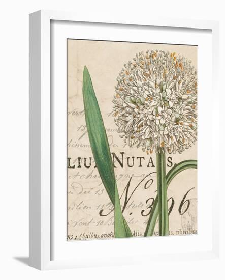 Botanique Bleu II Vintage-Wild Apple Portfolio-Framed Art Print