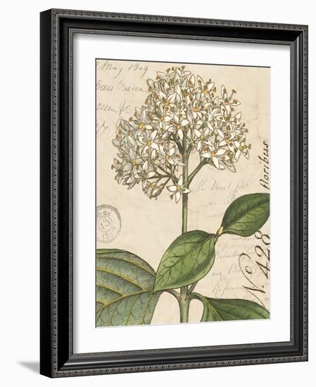 Botanique Bleu IV Vintage-Wild Apple Portfolio-Framed Art Print