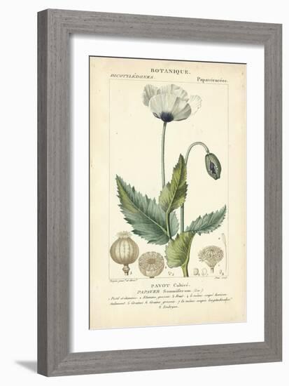 Botanique Study in Lavender II-Turpin-Framed Art Print