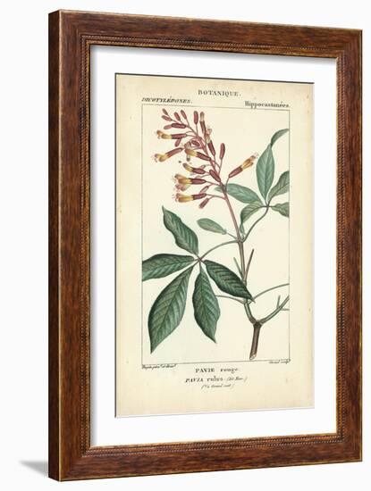 Botanique Study in Pink III-Turpin-Framed Art Print