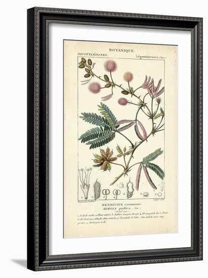 Botanique Study in Pink IV-Turpin-Framed Art Print