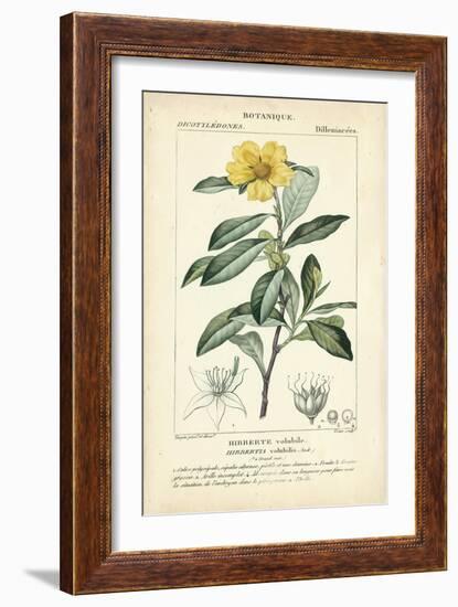 Botanique Study in Yellow I-Turpin-Framed Art Print