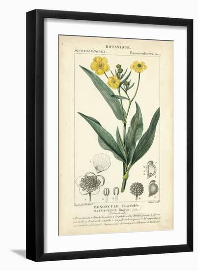 Botanique Study in Yellow III-Turpin-Framed Art Print