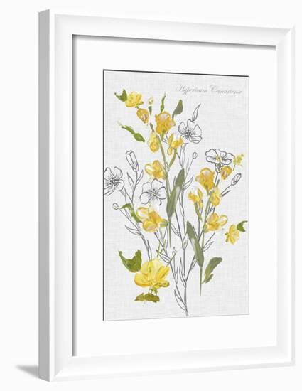 Botantical Yellow Flowers-Eva Watts-Framed Art Print