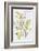 Botantical Yellow Flowers-Eva Watts-Framed Art Print