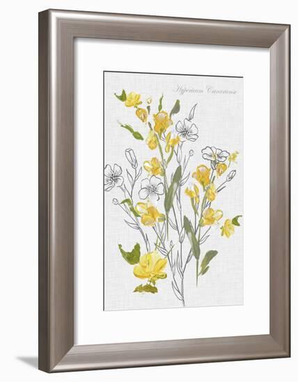 Botantical Yellow Flowers-Eva Watts-Framed Art Print