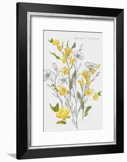 Botantical Yellow Flowers-Eva Watts-Framed Art Print