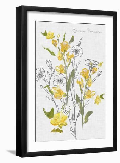 Botantical Yellow Flowers-Eva Watts-Framed Art Print