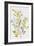 Botantical Yellow Flowers-Eva Watts-Framed Art Print