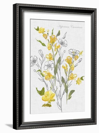 Botantical Yellow Flowers-Eva Watts-Framed Art Print