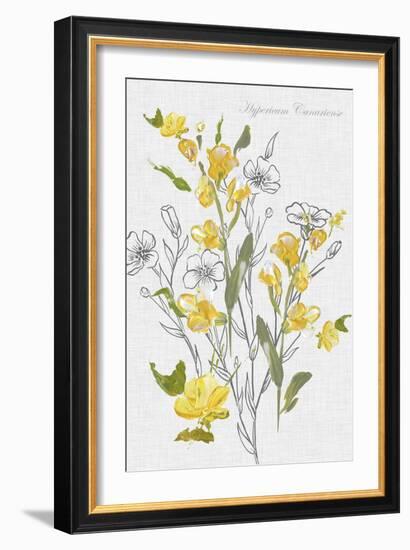 Botantical Yellow Flowers-Eva Watts-Framed Art Print