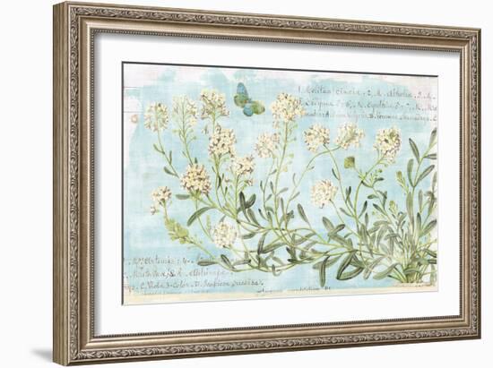 Botany Blue I-Sue Schlabach-Framed Art Print