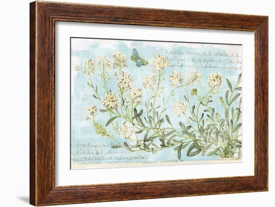 Botany Blue I-Sue Schlabach-Framed Art Print