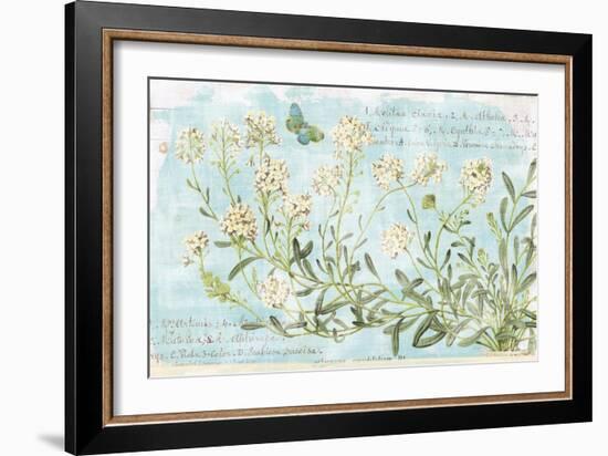 Botany Blue I-Sue Schlabach-Framed Art Print