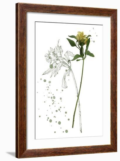 Botany Flower I-Melissa Wang-Framed Art Print