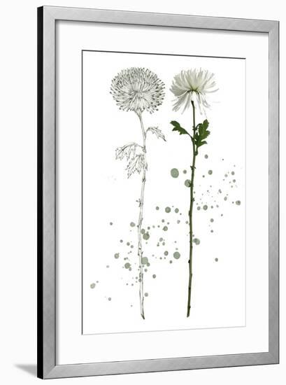 Botany Flower IV-Melissa Wang-Framed Art Print