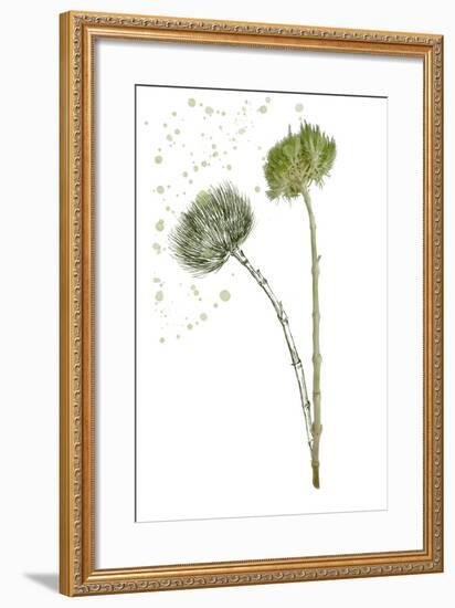 Botany Flower V-Melissa Wang-Framed Art Print