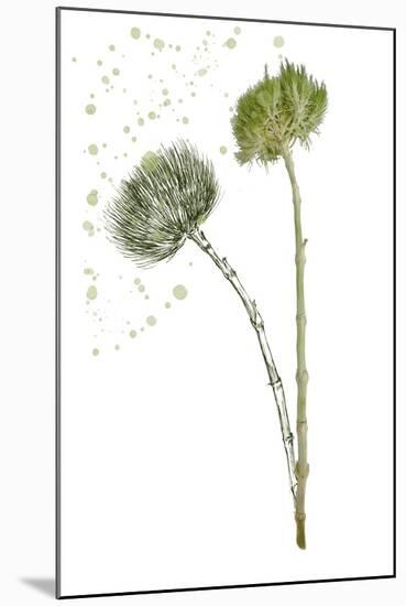 Botany Flower V-Melissa Wang-Mounted Art Print