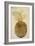 Botany: Pineapple, 1585-John White-Framed Giclee Print