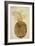 Botany: Pineapple, 1585-John White-Framed Giclee Print