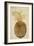 Botany: Pineapple, 1585-John White-Framed Giclee Print