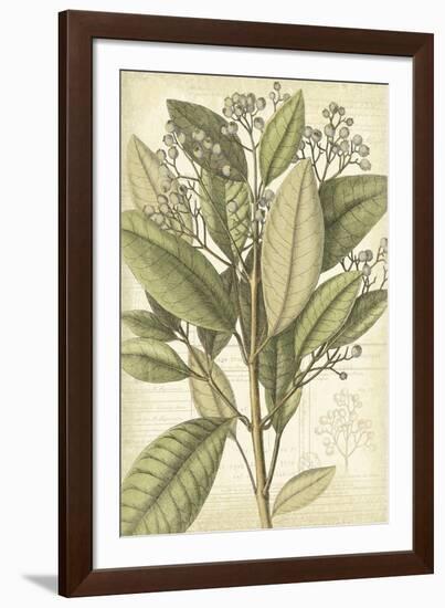 Botany Sketchbook II-Maria Mendez-Framed Giclee Print