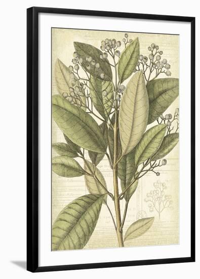 Botany Sketchbook II-Maria Mendez-Framed Giclee Print