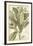 Botany Sketchbook II-Maria Mendez-Framed Giclee Print