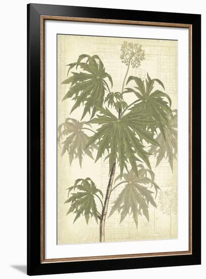 Botany Sketchbook III-Maria Mendez-Framed Giclee Print