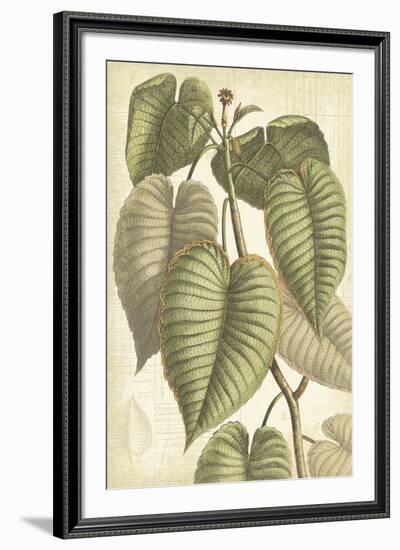 Botany Sketchbook IV-Maria Mendez-Framed Giclee Print