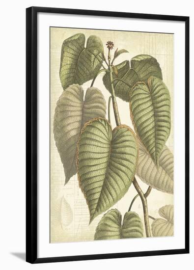 Botany Sketchbook IV-Maria Mendez-Framed Giclee Print